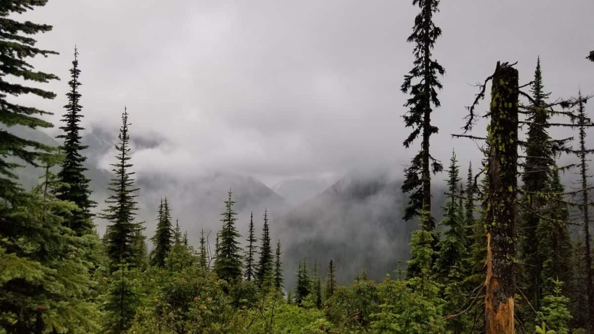 Future Self Journaling for Life Design