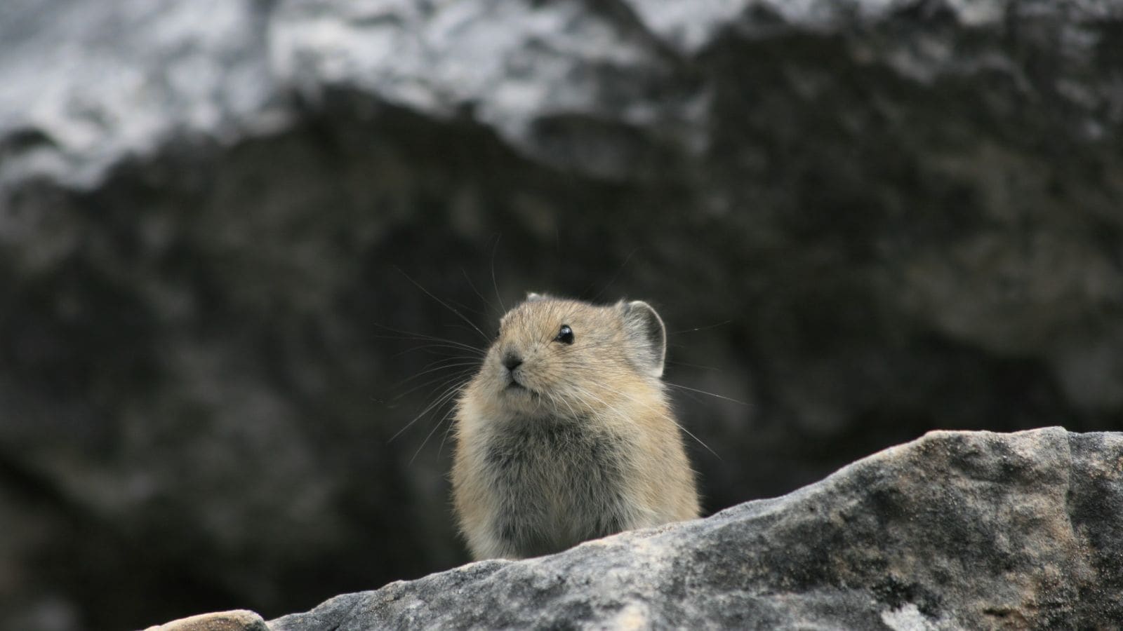 Your Bucket List as a Tool for Life Design