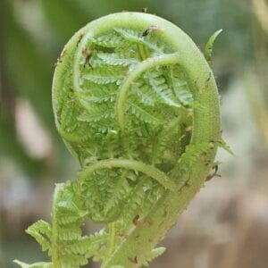 Build Your Capabilities Through Journaling and PBOK