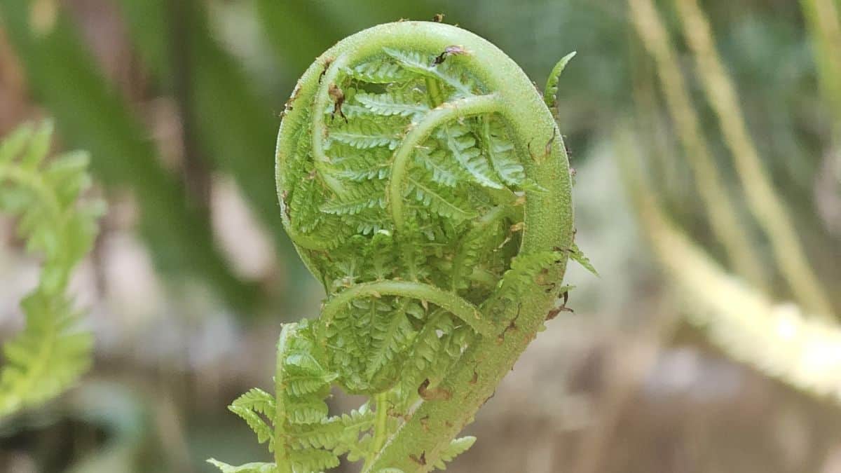 Build Your Capabilities Through Journaling and PBOK