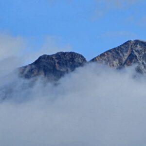 Vision Clarity: Start Moving Before You’re Certain