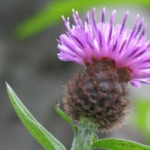 Discover Who You Are Through Journaling