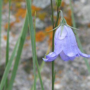 Growth Is Not Optional – It’s Direction