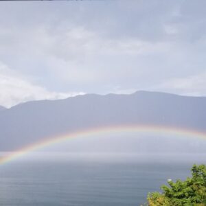 How Building Habits Teaches You Who You Are