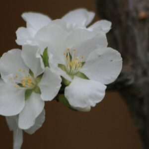 The Difference Between Recording Your Life and Learning From It