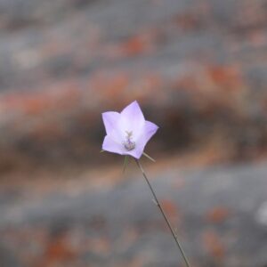 Why Smart People End Up Living Lives They Didn’t Choose