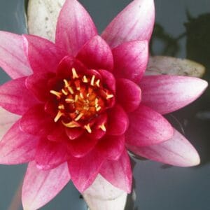 Journaling Your Vacation in Your PBOK