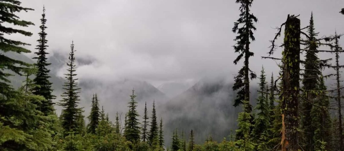 Future Self Journaling